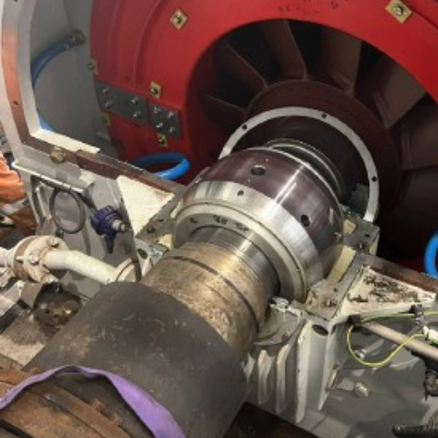 4-Pole Steam Turbine Generator Minor Inspection