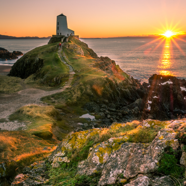 HV Maintenance Support